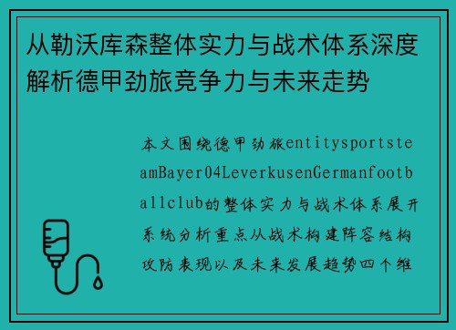 从勒沃库森整体实力与战术体系深度解析德甲劲旅竞争力与未来走势